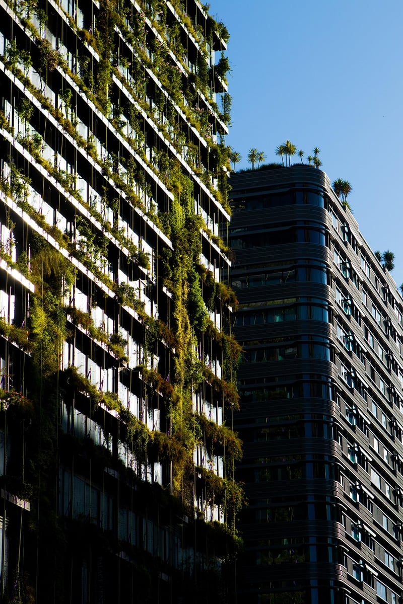 Vertical Garden in Full Sun